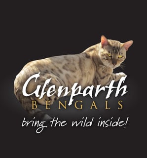 Glenparth Bengals - Bengal Cat Breeder - Taggerty, Victoria