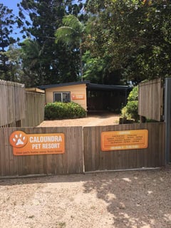 Caloundra Pet Resort - Sunshine Coast, QLD