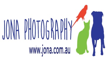 Jona Photography - Pet Photography - Gold Coast, QLD