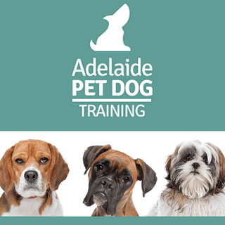 Adelaide Pet Dog Training - Dog Training, Puppy Training, Puppy School - Adelaide