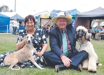 CALAHORRA - Afghan Hound & Whippet Breeder - Sydney, NSW
