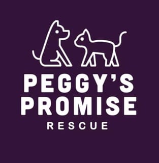 Peggys Promise - Central Coast, NSW