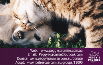 Peggys Promise Rescue - Central Coast, NSW