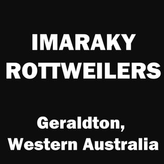 Imaraky Rottweilers - Rottweiler Breeder - Geraldton, WA