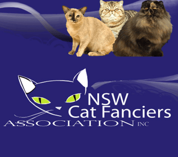 NSW Cat Fanciers Association - NSWCFA 