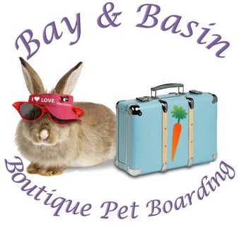 Bay & Basin Boutique Pet Boarding & Microchipping Service - Cats, Rabbits, Guinea Pigs - St Georges Basin