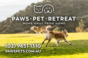 Paws Pet Retreat -  Dural, North Western Sydney