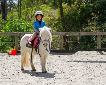 Bonogin Valley Horse Retreat - Horse Care & Riding, Giddyupkids - Gold Coast, QLD