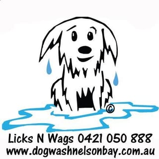 Licks n Wags Mobile Dog Wash Nelson Bay