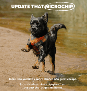 Global Micro - Microchip Registry Australia