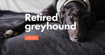 GRANT - Greyhound Rehoming Association Northern Territory