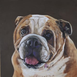 Pet paintings by artist Naomi Veitch