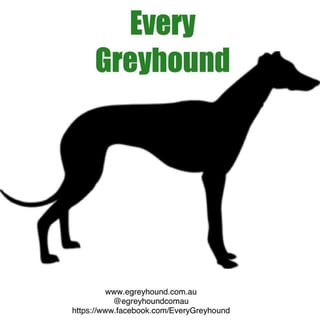 Every Greyhound - Greyhound Rehoming 