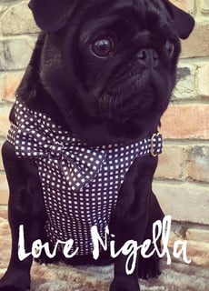 Love Nigella - Dog Collars, Leads & Harnesses, Dog Beds.