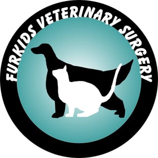 Furkids Vet Surgery - Greenbank