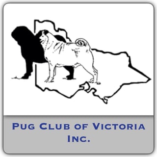 The Pug Club of Victoria