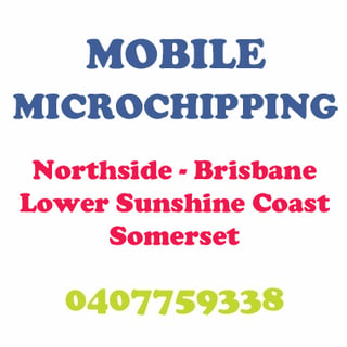 MOBILE MICROCHIPPING - Brisbane, Lower Sunshine Coast, Somerset 