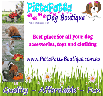 PittaPatta Boutique - Online Dog Store