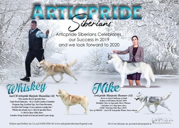 Articpride Siberians - Siberian Husky Breeder - Hunter Valley, NSW