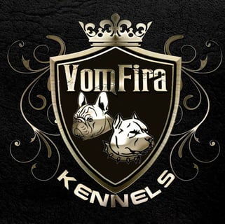 Vomfira Kennels - American Staffordshire Terrier & French Bulldog Breeder - Melbourne, VIC