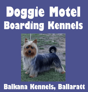 Doggie Motel - Pet Boarding for Dogs & Cats - Ballarat, VIC