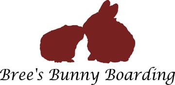 Bree's Bunny Boarding - Rabbit and Guinea Pig Boarding, Melbourne - VIC