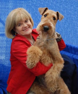 Yorkpark - Airedale & Welsh Terrier Breeders - Melbourne, VIC