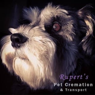 Rupert's Pet Cremation - Central Coast NSW