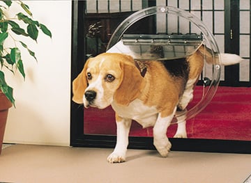 Jim's Glass : Glass Pet Doors - Cat Doors, Dog Doors - Perth, WA