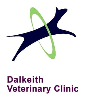 Dalkeith Veterinary Clinic - Nedlands