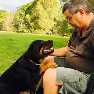 Montmill Rottweilers - Rottweiler Breeder - Neurum QLD