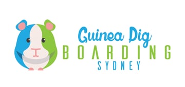 Guinea Pig Boarding Sydney