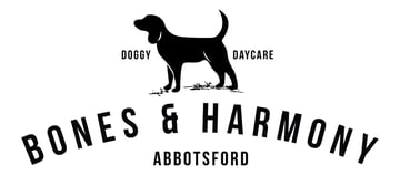 Bones & Harmony - Modern Dog Day Care, Melbourne 