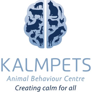 Kalmpets Animal Behaviour Centre - Dog Day Care, Agility & Training -  Balcatta, WA