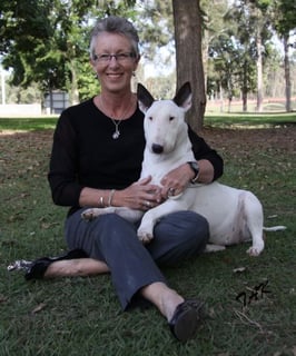 Missigai Kennels - Bull Terrier and Parson Russel Terrier Breeder - Sutton, NSW