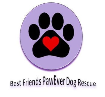 Best Friends Pawever Dog Rescue - Central West NSW