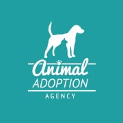 Animal Adoption Agency - Animal Shelter & Boarding - Sydney, NSW