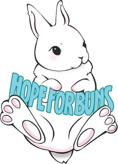 Hope For Buns - Bunny Rabbit Boarding, Rescue and Adoption - Gippsland, VIC