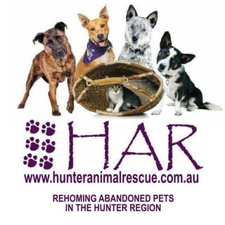 Hunter Animal Rescue - Pet Rescue and Adoption - Hunter Region, NSW