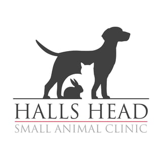 Halls Head small animal clinic - Mandurah, WA