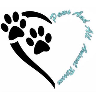 Paws And All Animal Rescue - Pet Rescue, Re-homing, Adoption - Sydney, NSW