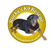 Rocky's K9 Rescue - Dog and Cat Re-homing and Adoption - Sydney, NSW