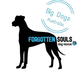 Forgotten Souls Dog Rescue - Home Based Foster and Adoption - NSW and VIC