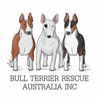 Bull Terrier Rescue Australia - Re-homing and Adoption - Bendigo, VIC