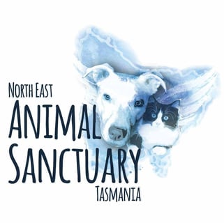 North East Animal Sanctuary Tasmania - Pet Re-homing and Adoption - TAS