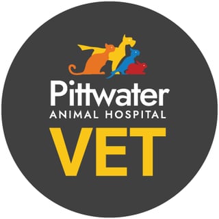 Pittwater Animal Hospital - Vet Clinic - Narrabeen, NSW