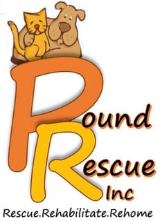 Pound Rescue Inc - Dog and Cat Foster, Re-homing, Adoption - Sydney, NSW