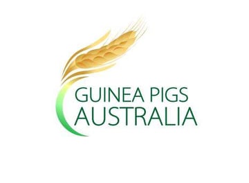 Guinea Pigs Australia - Shop, Boarding, Information - Sydney NSW