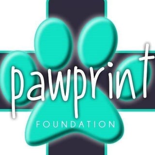 PawPrint Foundation - Pet Foster, Re-homing, Adoption - Brisbane, QLD