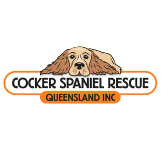 Cocker Spaniel Rescue - Foster, Re-homing and Adoption - South East QLD